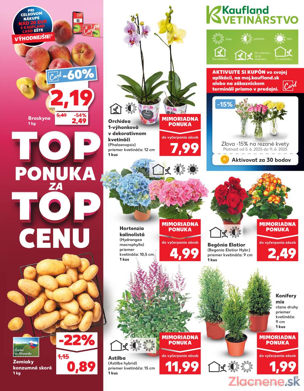 Leták Kaufland - Kaufland 5.6. - 11.6. - Kaufland Bánovce nad Bebravou - strana 9