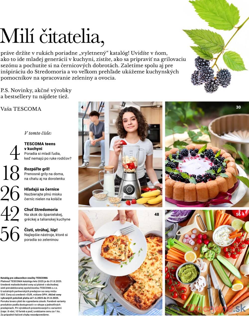 Leták Tescoma - Tescoma Letný katalóg od 1.6. do 31.8.2025 - strana 3