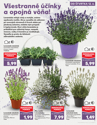 Kaufland 12.6. - 18.6. - Kaufland Rožňava