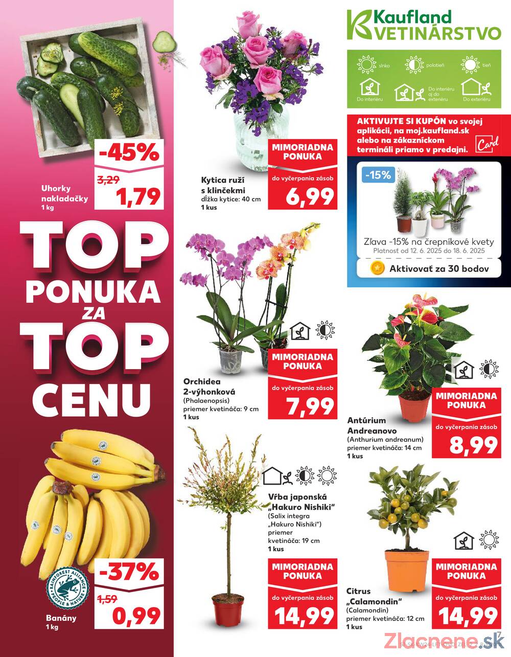 Leták Kaufland - Kaufland 12.6. - 18.6. - Kaufland (A. H. Škultétyho, Veľký Krtíš) - strana 7