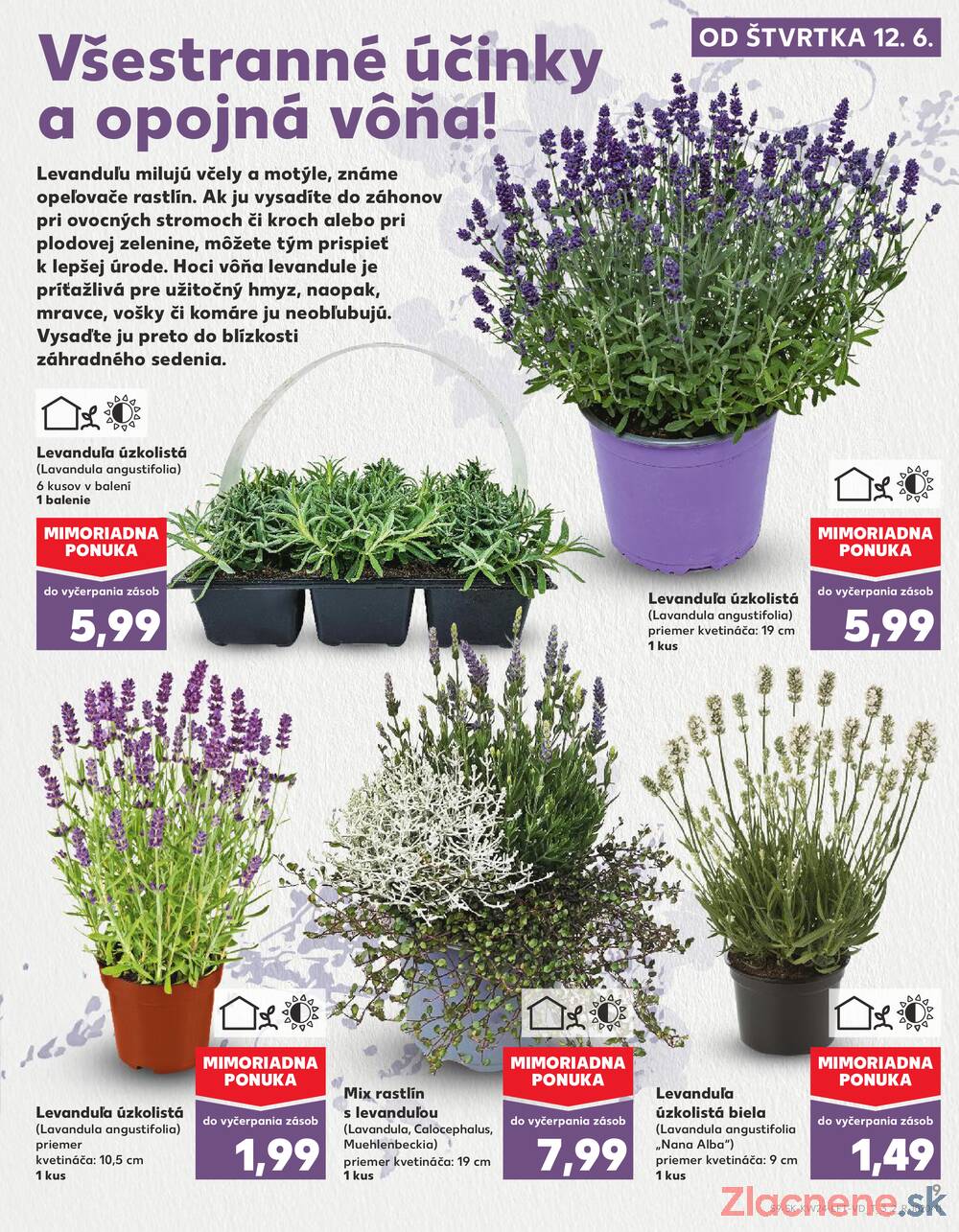Leták Kaufland - Kaufland 12.6. - 18.6. - Kaufland Zvolen Zapad-Teplicky - strana 9