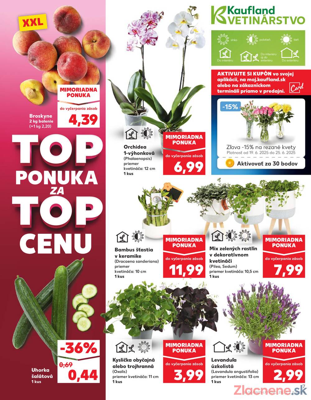 Leták Kaufland - Kaufland 19.6. - 25.6. - Kaufland Bratislava - Bory - strana 7