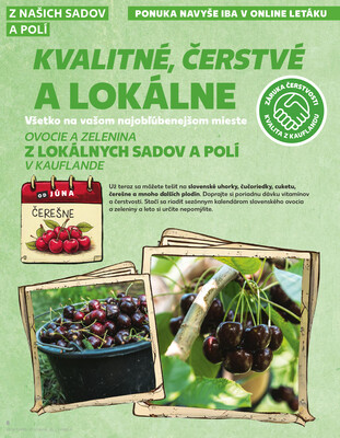 Kaufland 19.6. - 25.6. - Kaufland Bratislava - Bory