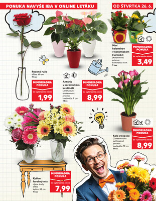Leták Kaufland
		  platný do 2.7.2025 - strana 9