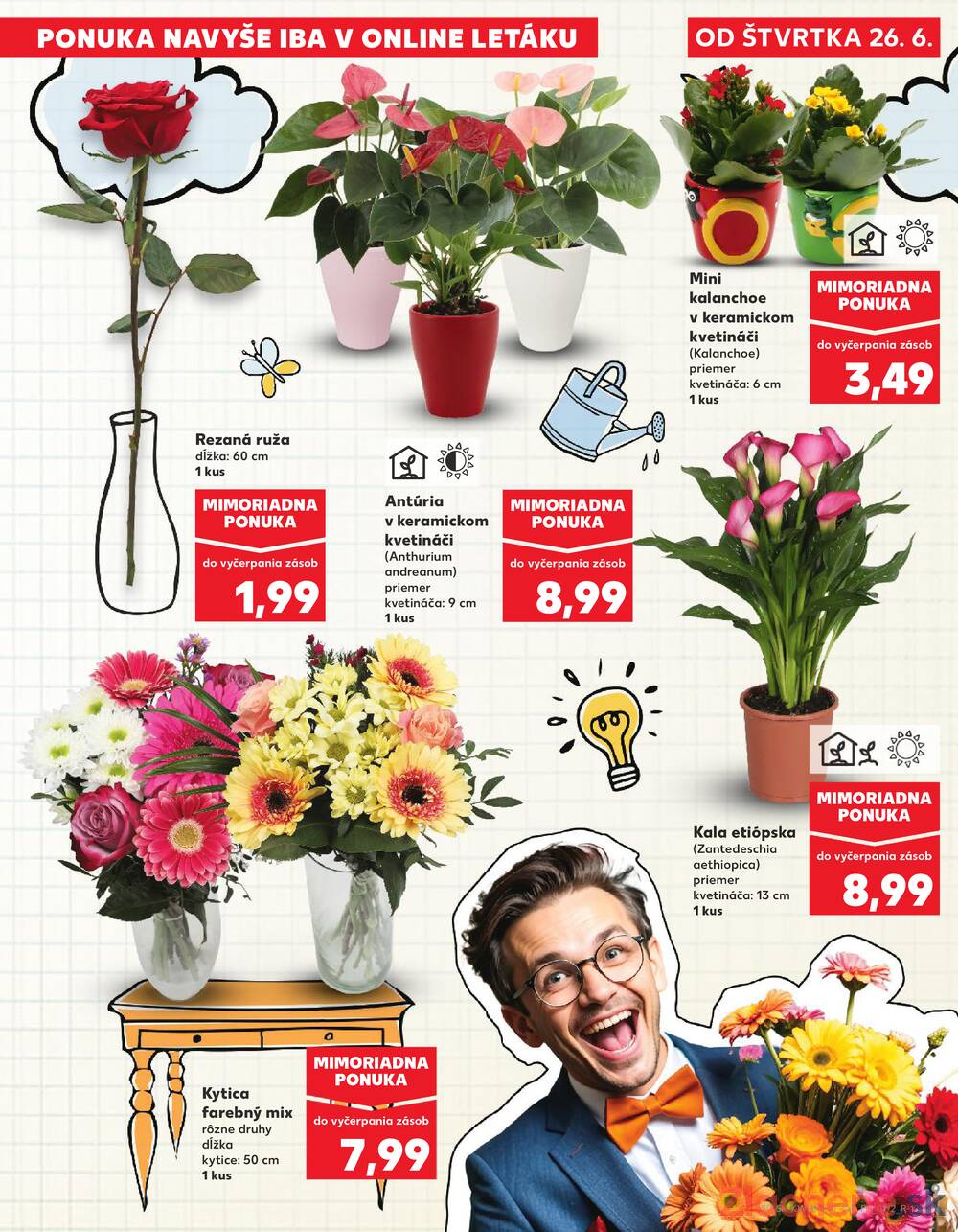 Leták Kaufland - Kaufland 26.6. - 2.7. - Kaufland Trenčín - Gen. M. R. Štefánika - strana 9