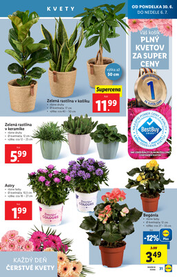 Leták Lidl
		  platný do 6.7.2025 - strana 39