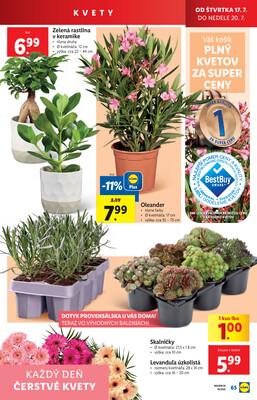 Leták Lidl
		  platný do 20.7.2025 - strana 77