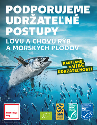 Kaufland 31.7. - 6.8. - Kaufland Púchov