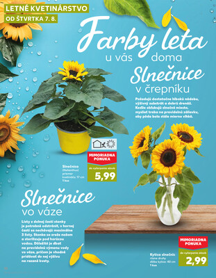 Kaufland 7.8. - 13.8. - Kaufland Trebišov