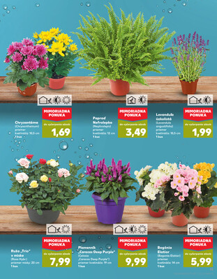 Kaufland 7.8. - 13.8. - Kaufland Komárno