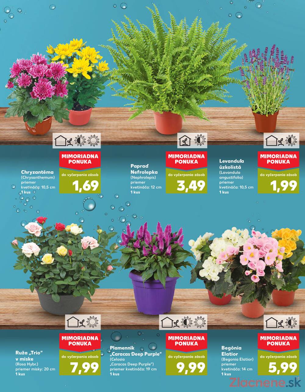Leták Kaufland - Kaufland 7.8. - 13.8. - Kaufland Topoľčany - strana 11