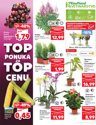 Kaufland 14.8. - 20.8. - Kaufland Brezno