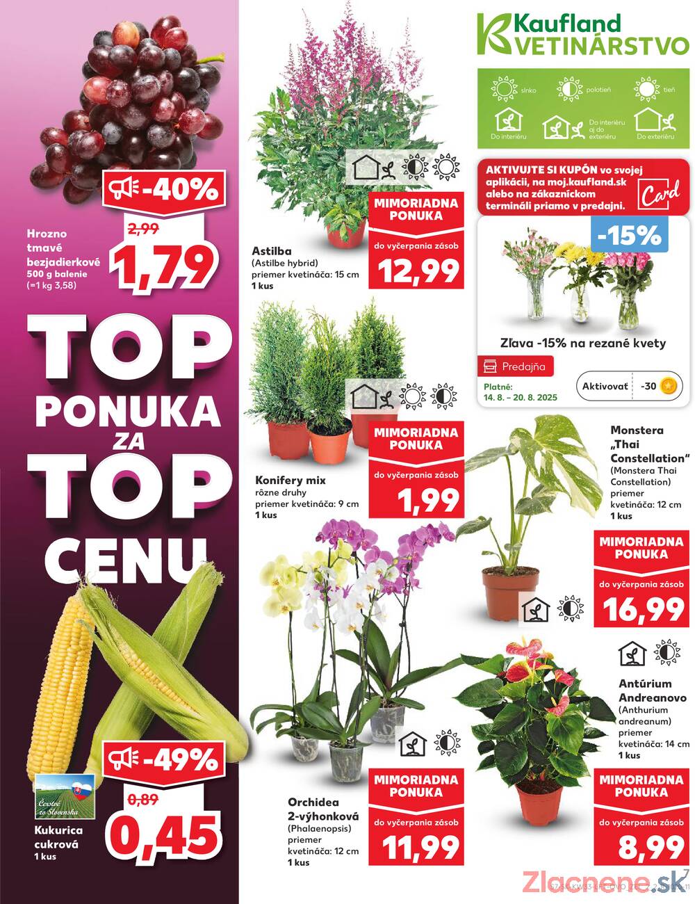 Leták Kaufland - Kaufland 14.8. - 20.8. - Kaufland Senica - strana 7
