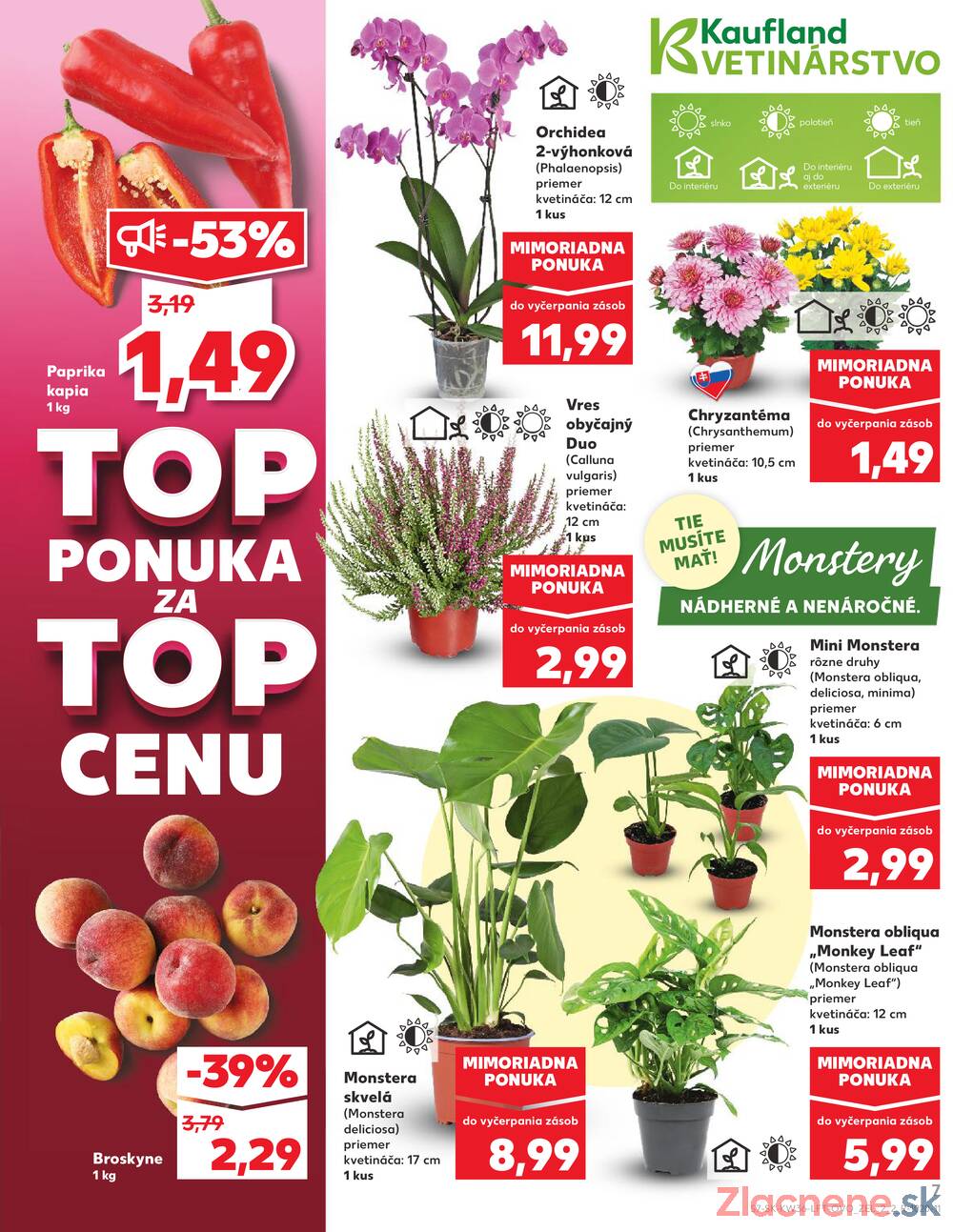 Leták Kaufland - Kaufland 4.9. - 10.9. - Kaufland Trebišov - strana 7