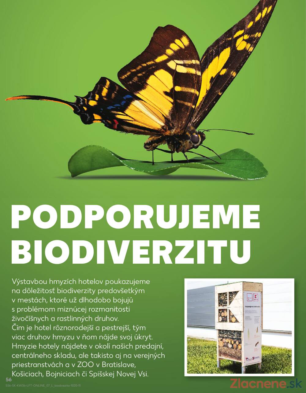 Leták Kaufland - Kaufland 4.9. - 10.9. - Kaufland Hlohovec - strana 56
