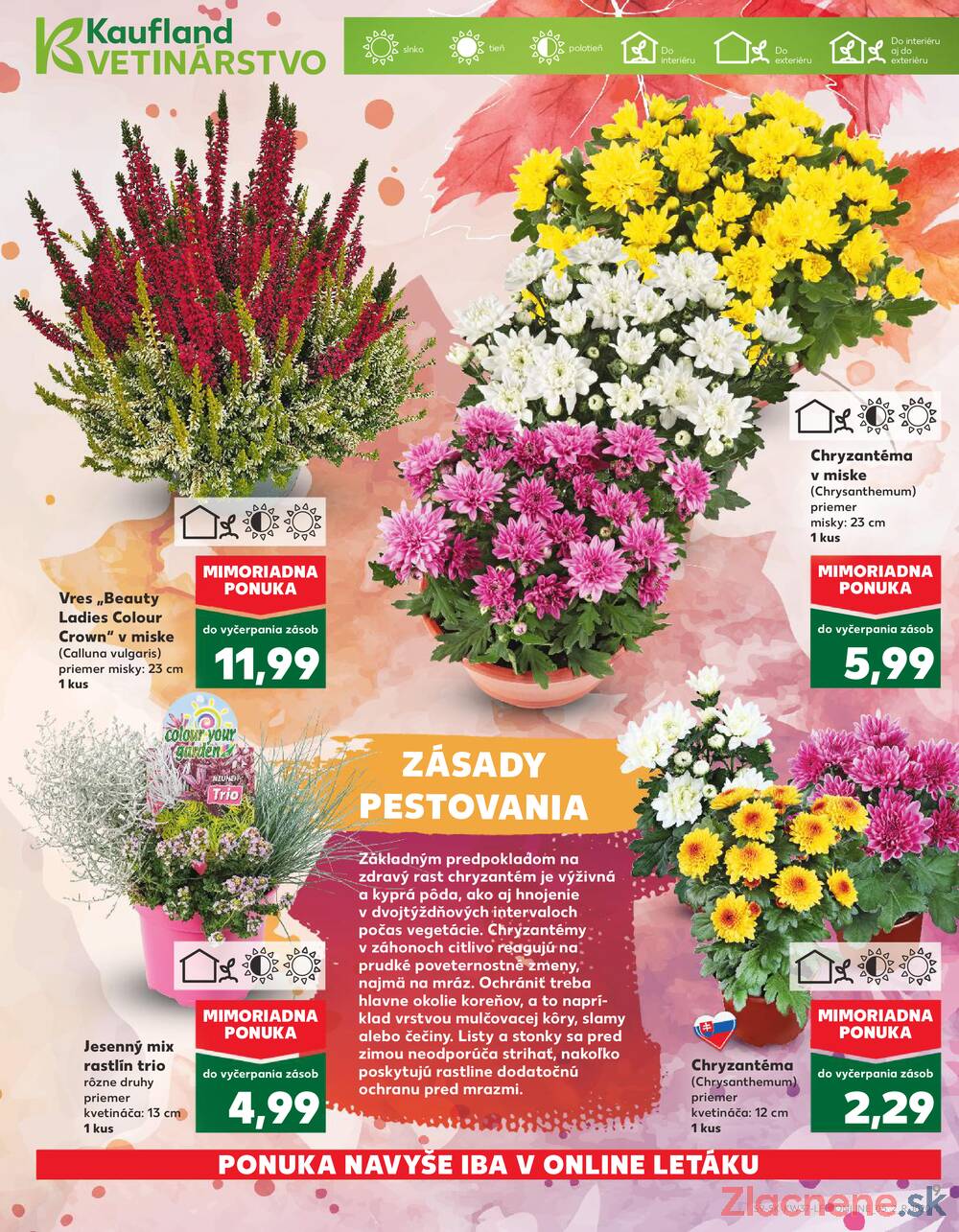 Leták Kaufland - Kaufland 11.9. - 17.9. - Kaufland Veľký Meder - strana 9