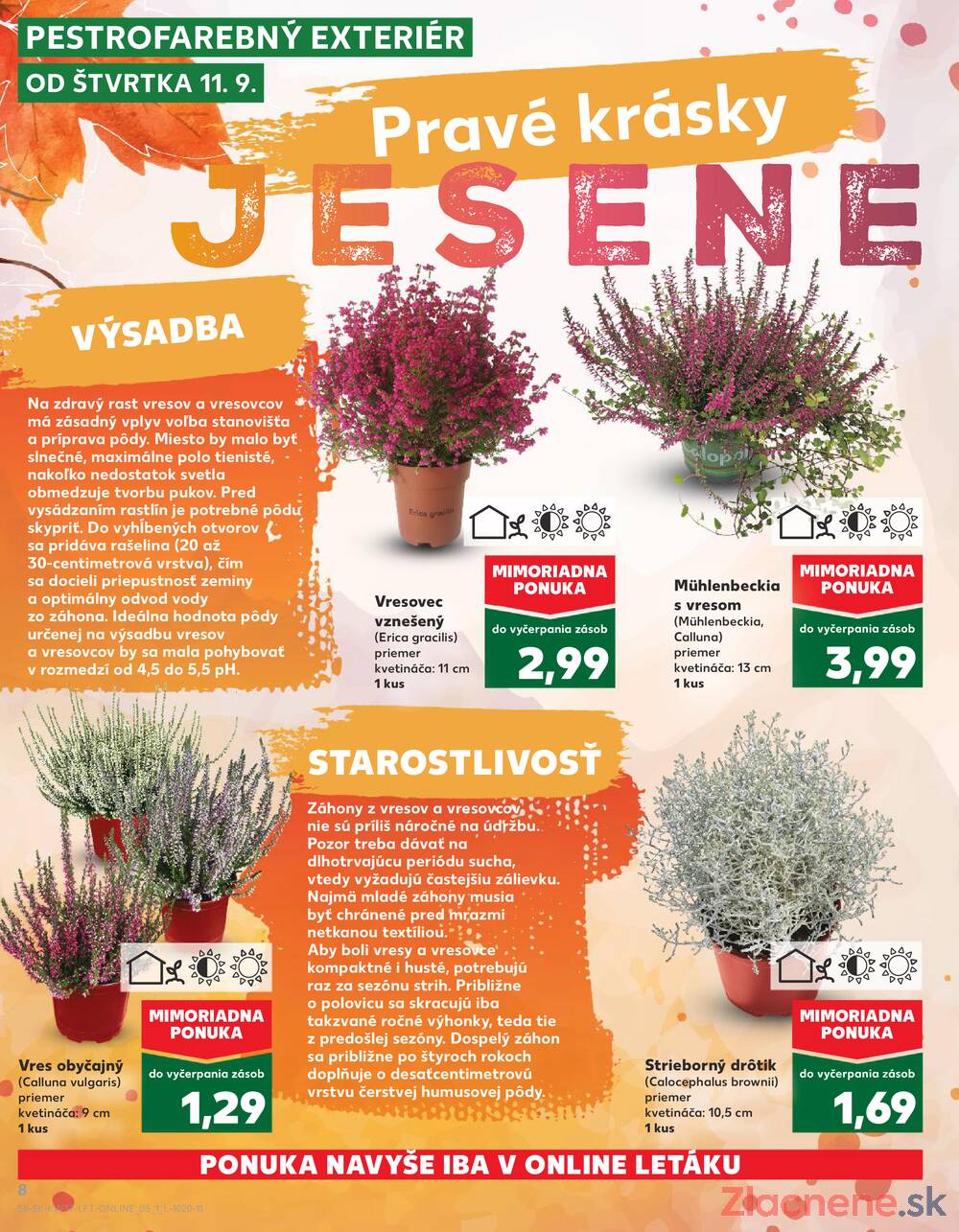 Leták Kaufland - Kaufland 11.9. - 17.9. - Kaufland Zlaté Moravce - strana 8