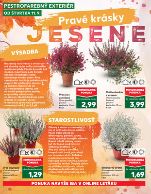Kaufland 11.9. - 17.9. - Kaufland Košice - Popradská 