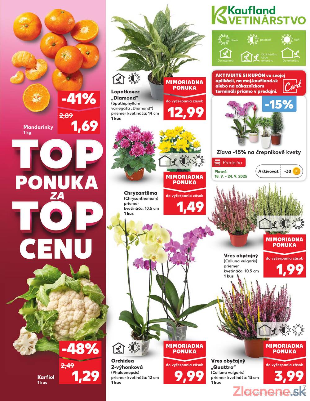 Leták Kaufland - Kaufland 18.9. - 24.9. - Kaufland Bratislava Danubia – Panónska cesta - strana 7