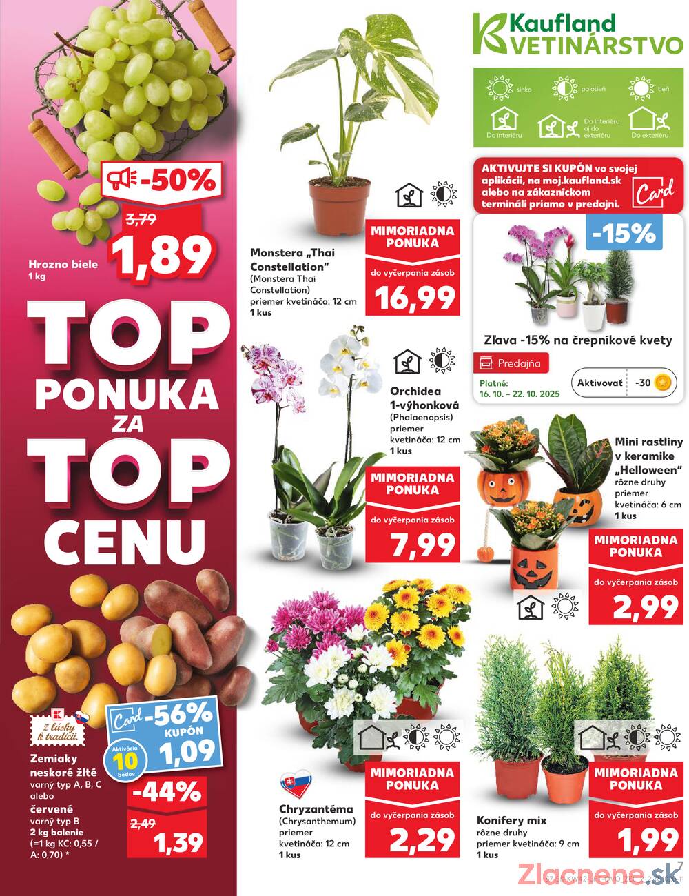 Leták Kaufland - Kaufland 16.10. - 22.10. - Kaufland Bratislava - Podunajské Biskupice - strana 7