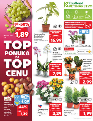 Kaufland 16.10. - 22.10. - Kaufland Prešov - Sekčov 