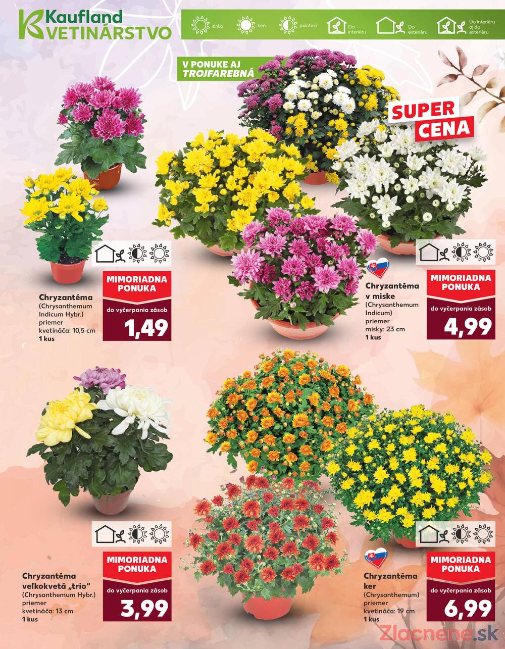 Leták Kaufland - Kaufland 23.10. - 29.10. - Kaufland Bardejov - strana 9 Leták Kaufland - Kaufland 23.10. - 29.10. - Kaufland Bardejov - strana 9