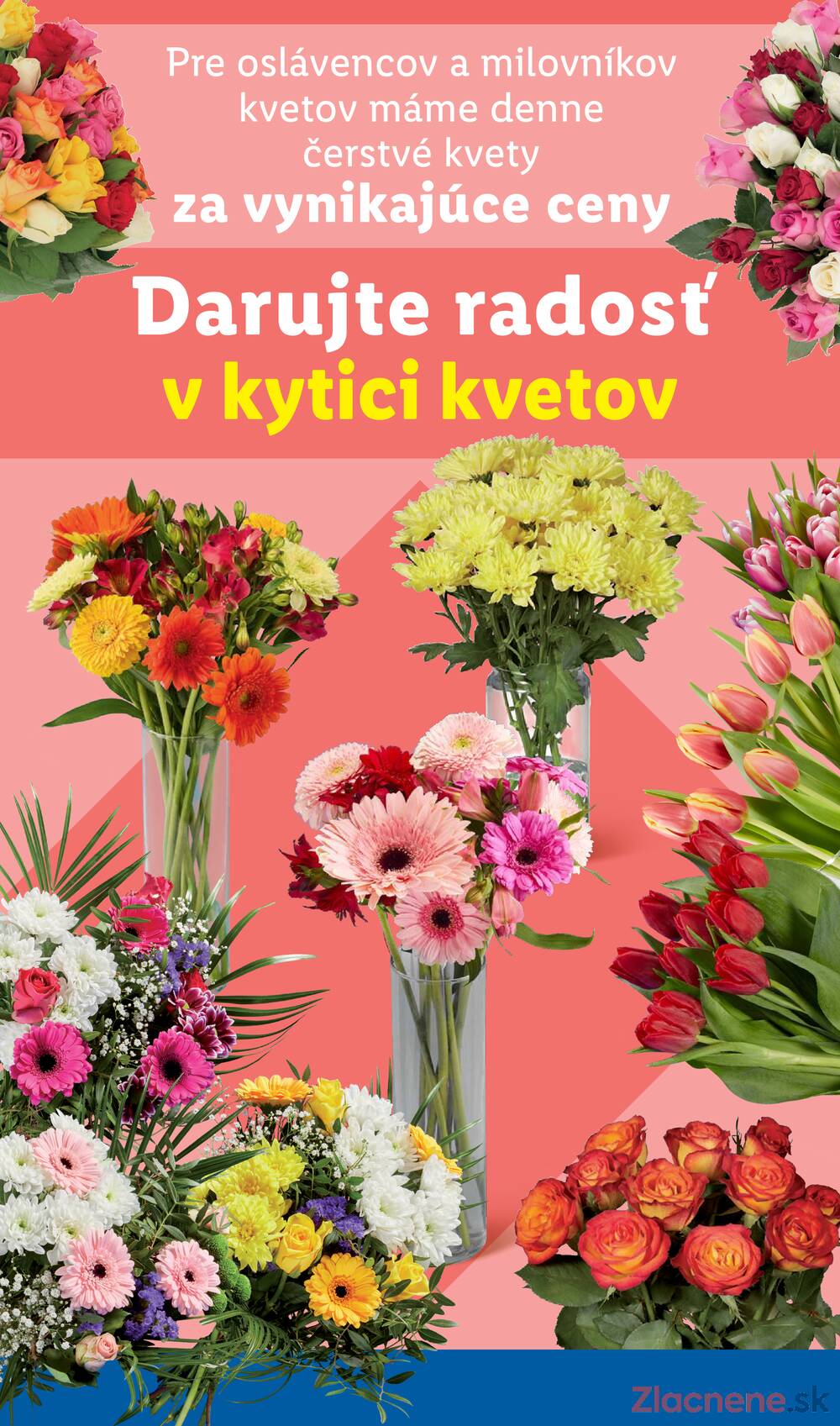 Leták Lidl
platný do 16.11.2025 - strana 34