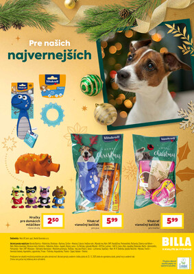 Leták Billa
		  platný do 23.12.2025 - strana 31