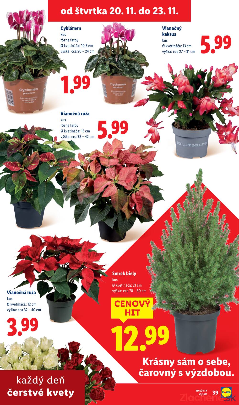 Leták Lidl
		  platný do 23.11.2025 - strana 31