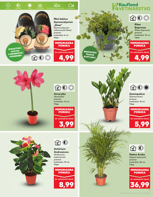 Kaufland 2.1. - 7.1. - Kaufland Zlaté Moravce