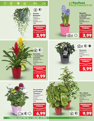 Kaufland 8.1. - 14.1. - Kaufland Trnava - Nová ul.