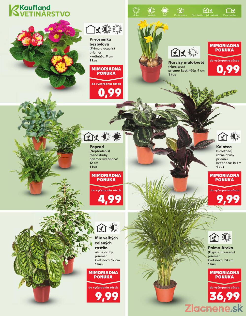 Leták Kaufland - Kaufland 29.1. - 4.2. - Kaufland Považská Bystrica - Centrum - strana 7