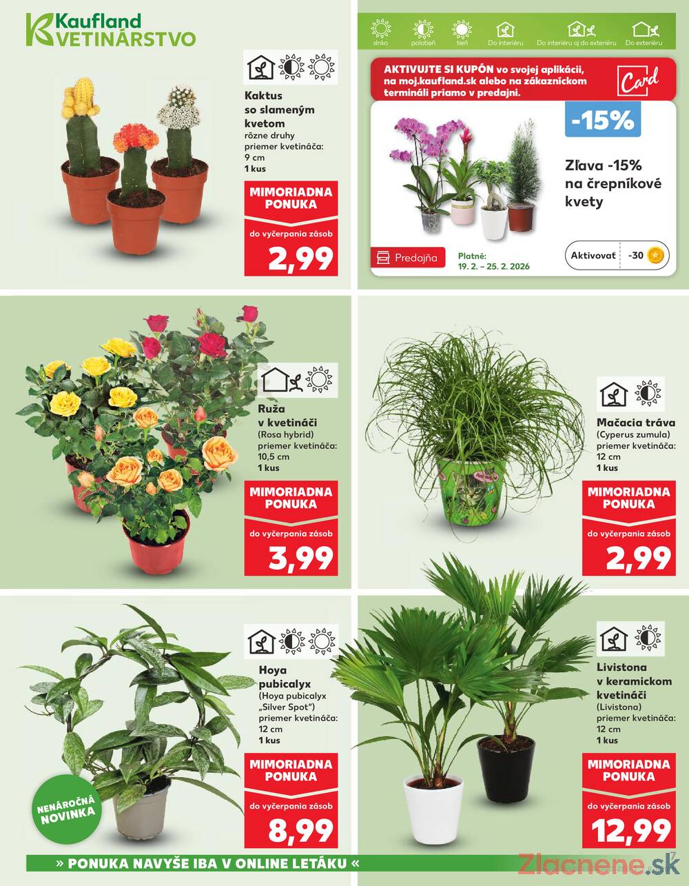 Kaufland 19.2. - 25.2. - Kaufland Trnava - Juh - Bratislavská