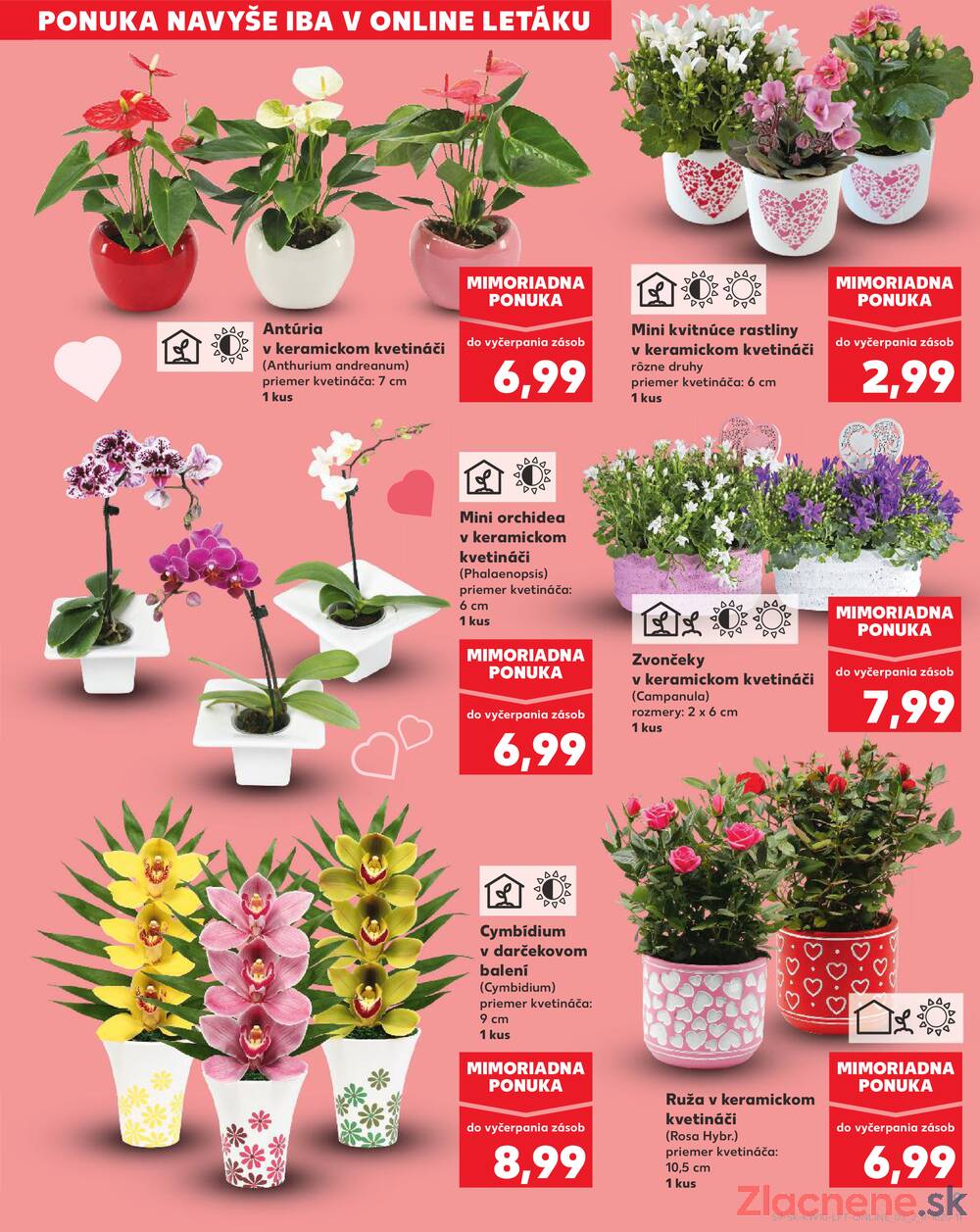 Leták Kaufland - Kaufland 5.3. - 11.3. - Kaufland Detva - strana 9