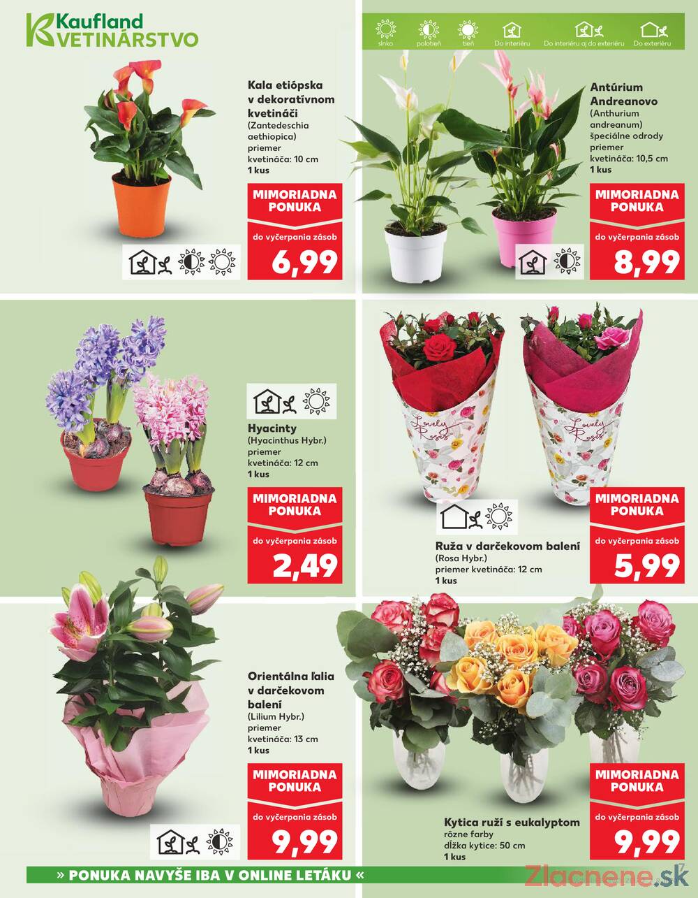 Leták Kaufland - Kaufland 5.3. - 11.3. - Kaufland Rožňava - strana 7 Leták Kaufland - Kaufland 5.3. - 11.3. - Kaufland Rožňava - strana 7