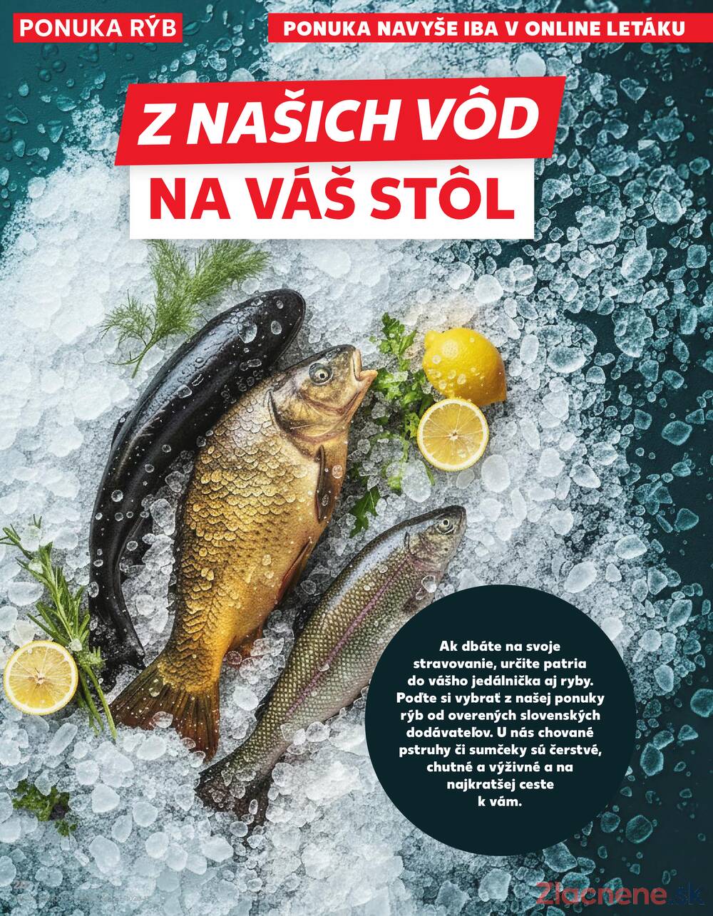 Kaufland 5.3. - 11.3. - Kaufland Žiar nad Hronom