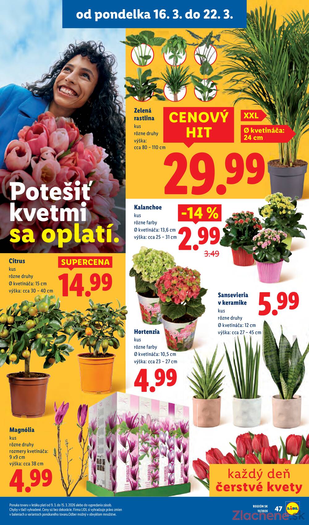 Lidl 19.3. - 22.3.