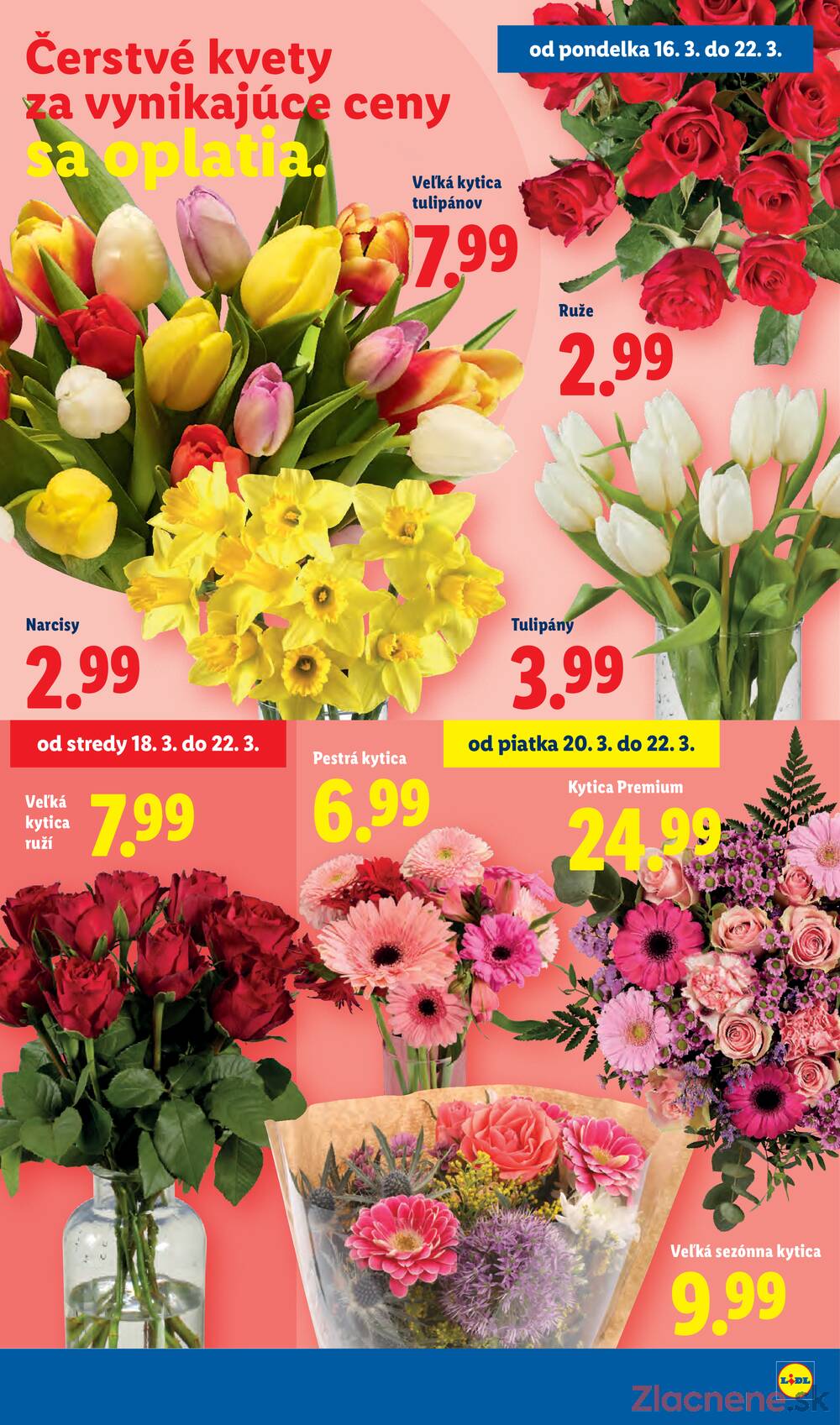 Lidl 19.3. - 22.3.