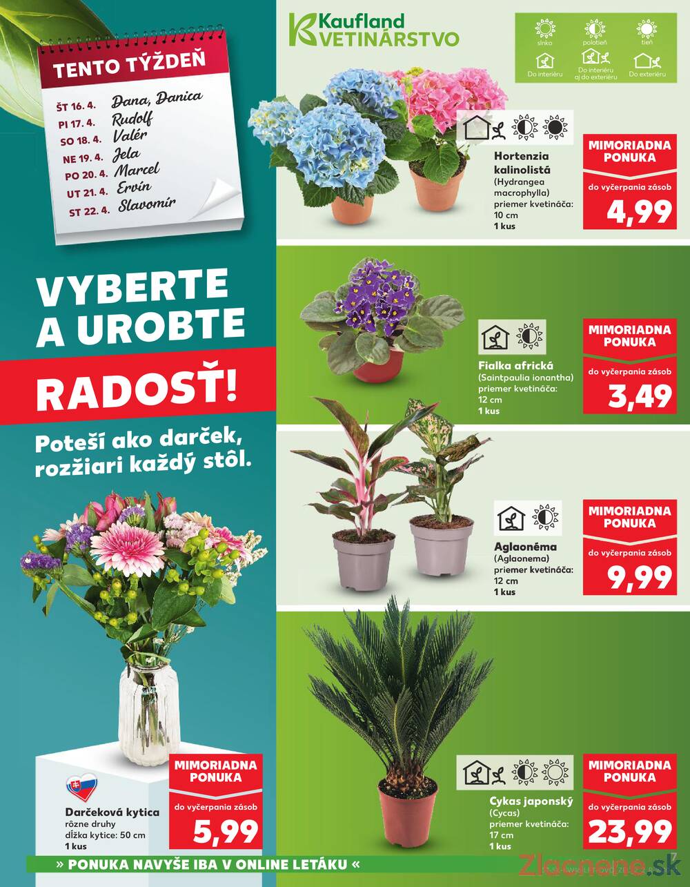 Kaufland 16.4. - 22.4. - Kaufland Trnava - Nová ul.