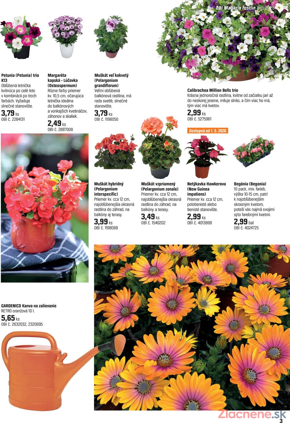 Leták OBI - OBI Magazín rastlín od 14.4. do 14.5.2026 - strana 3