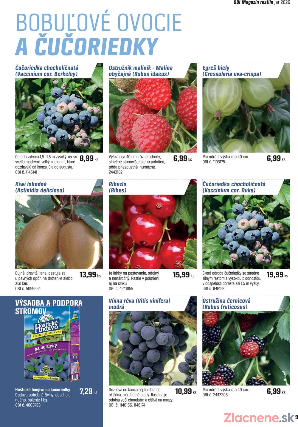 OBI Magazín rastlín od 14.4. do 14.5.2026