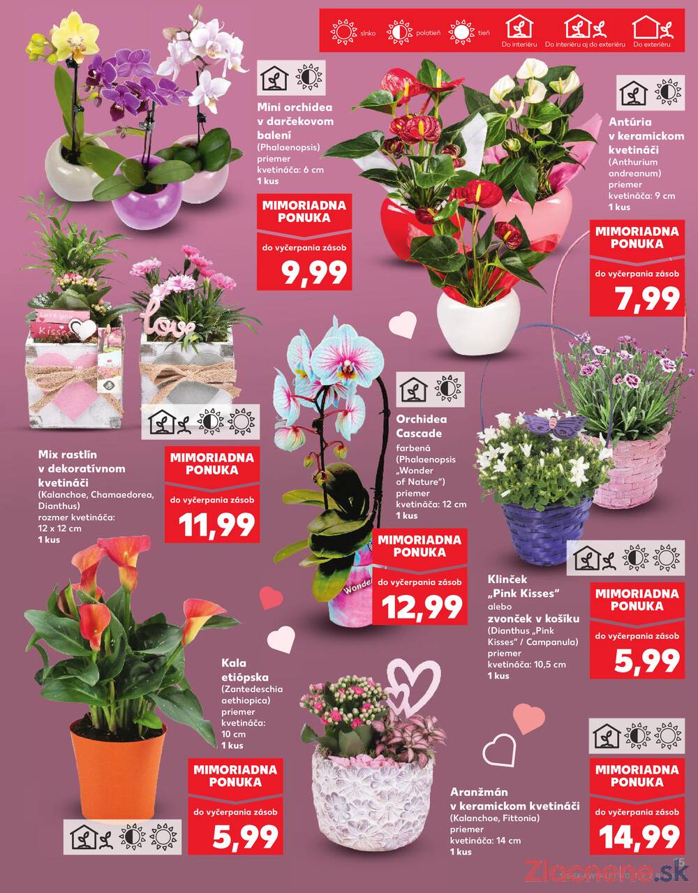 Leták Kaufland - Kaufland 7.5. - 13.5. - Kaufland Sabinov - strana 15 Leták Kaufland - Kaufland 7.5. - 13.5. - Kaufland Sabinov - strana 15