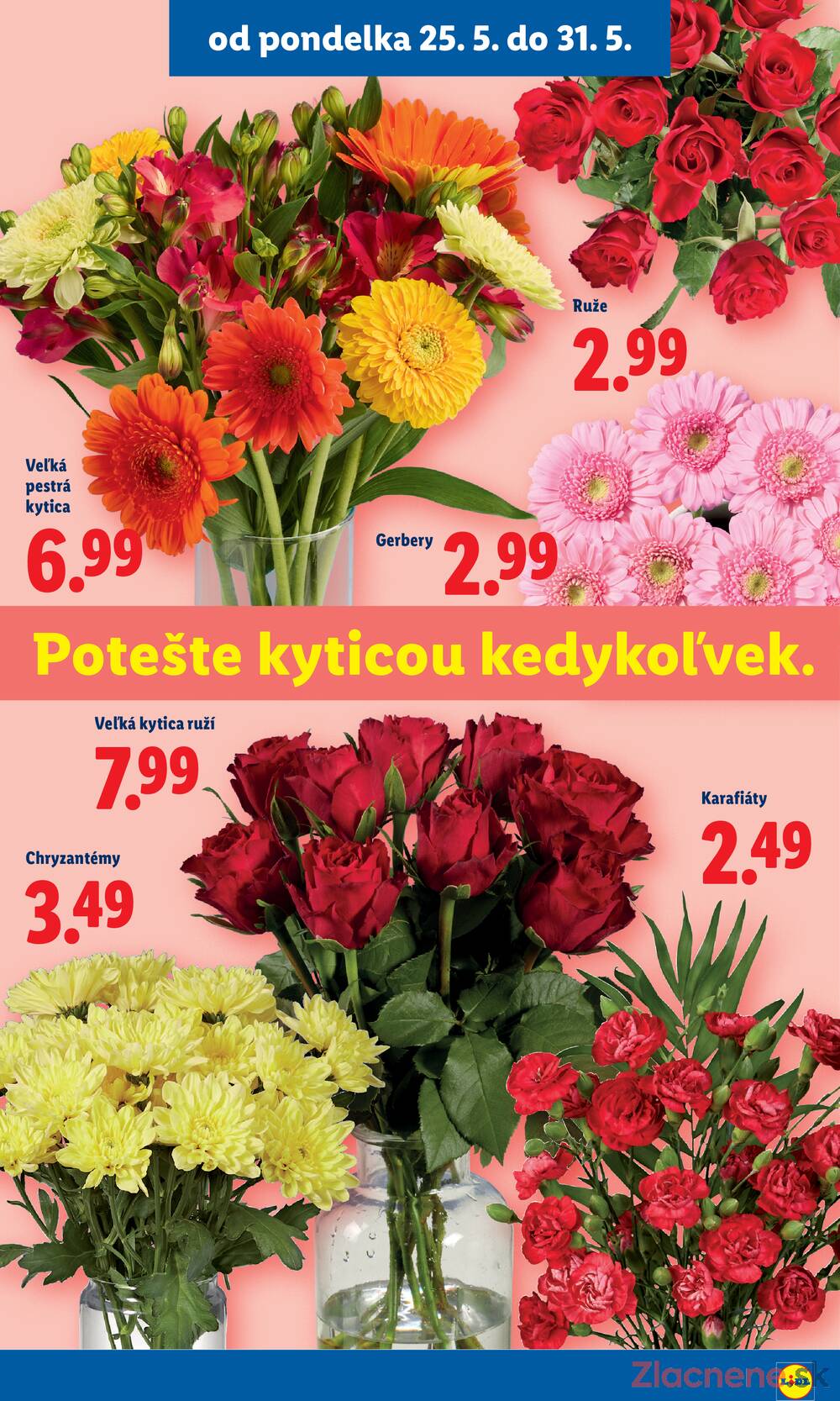 Lidl do 31.5.
