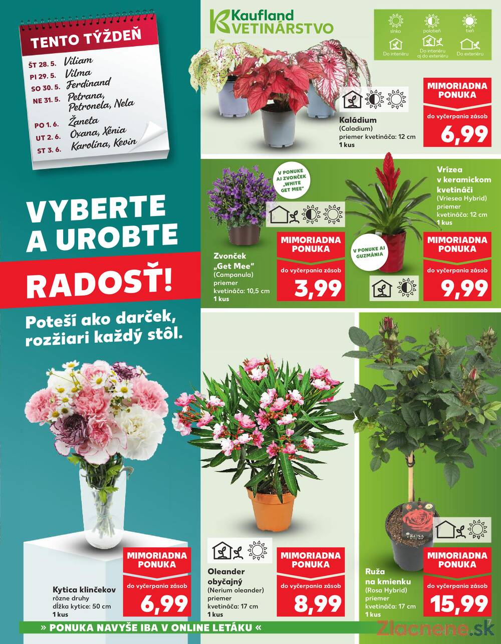 Leták Kaufland - Kaufland 28.5. - 3.6. - Kaufland Stará Ľubovňa - strana 7 Leták Kaufland - Kaufland 28.5. - 3.6. - Kaufland Stará Ľubovňa - strana 7