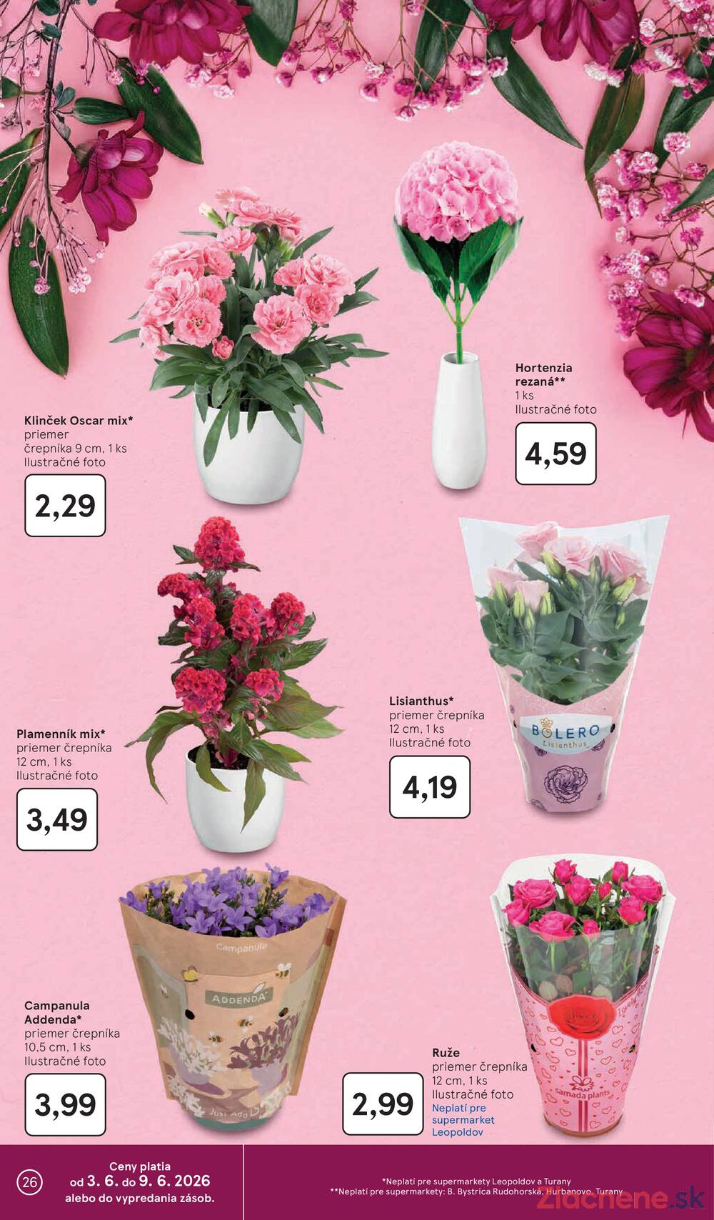 Tesco supermarkety od 3.6. do 9.6.2026