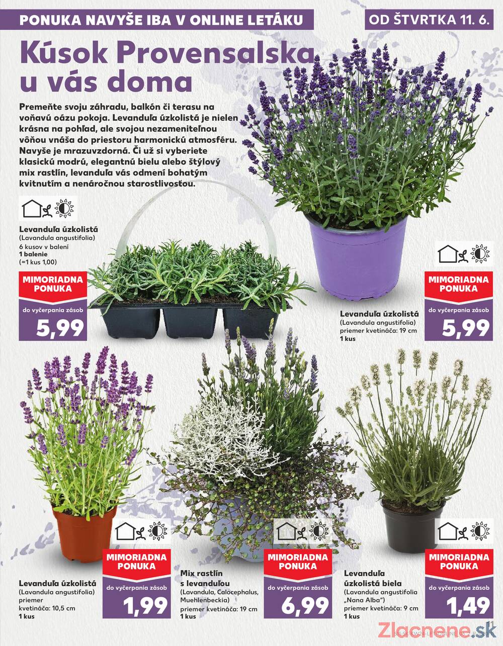 Kaufland 11.6. - 17.6. - Kaufland Bytča