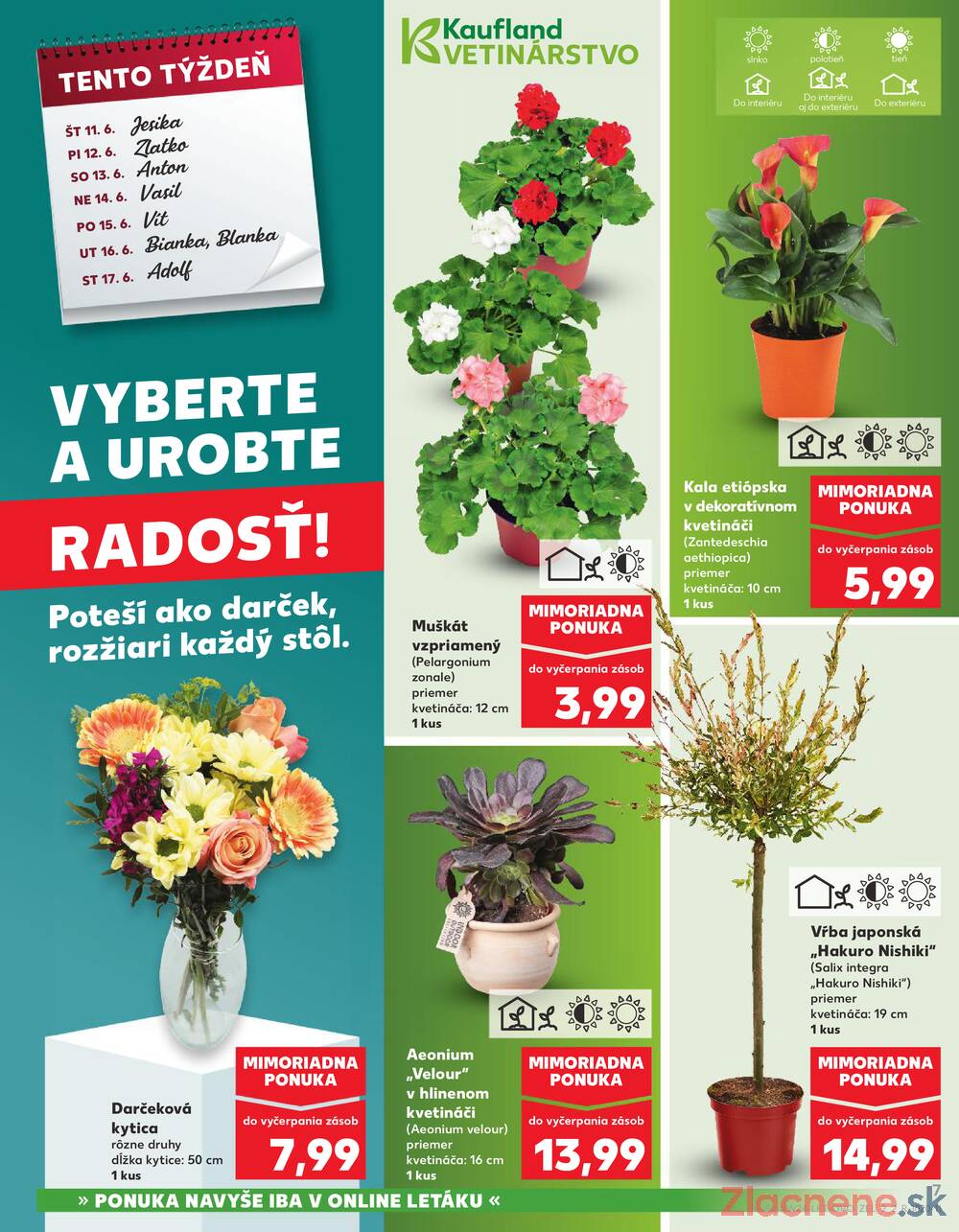 Kaufland 11.6. - 17.6. - Kaufland Žilina