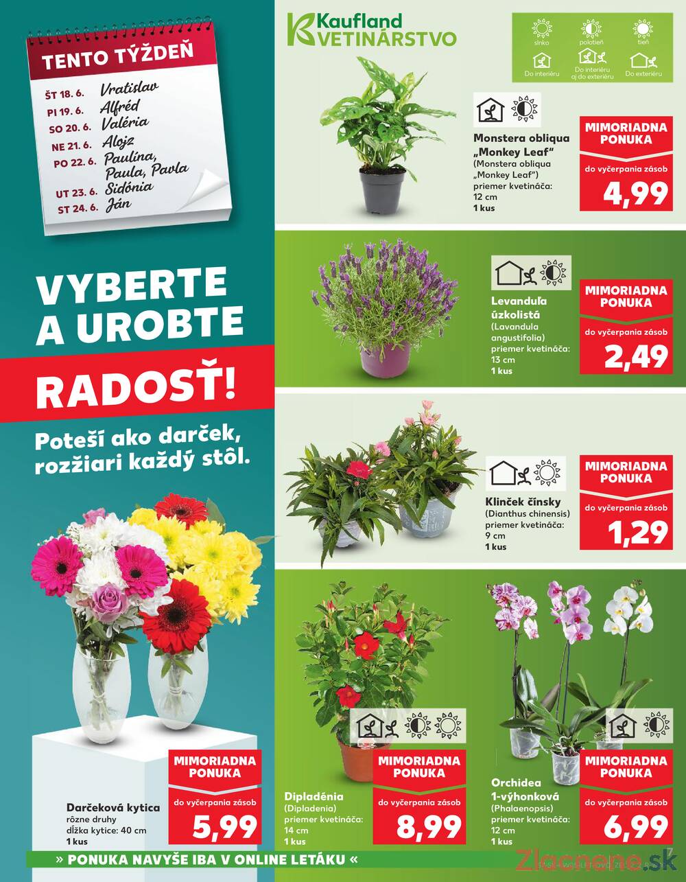 Leták Kaufland - Kaufland 18.6. - 24.6. - Kaufland Levice - strana 7