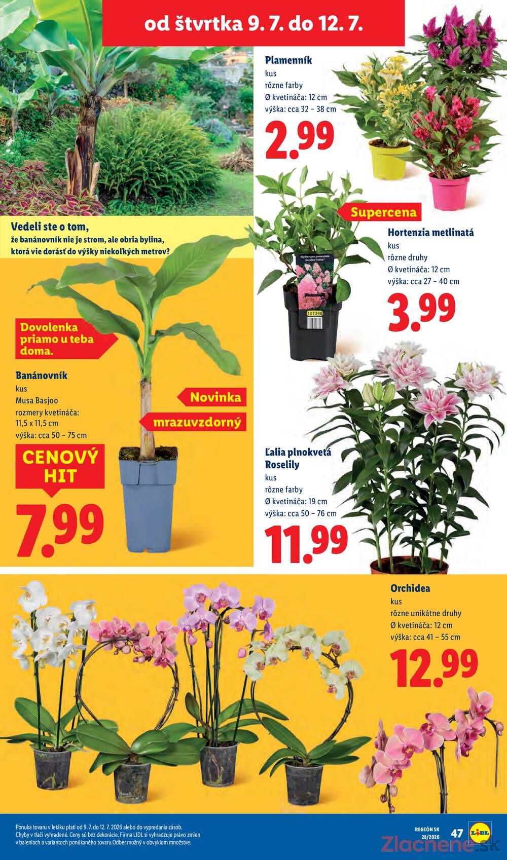 Lidl do 12.7.