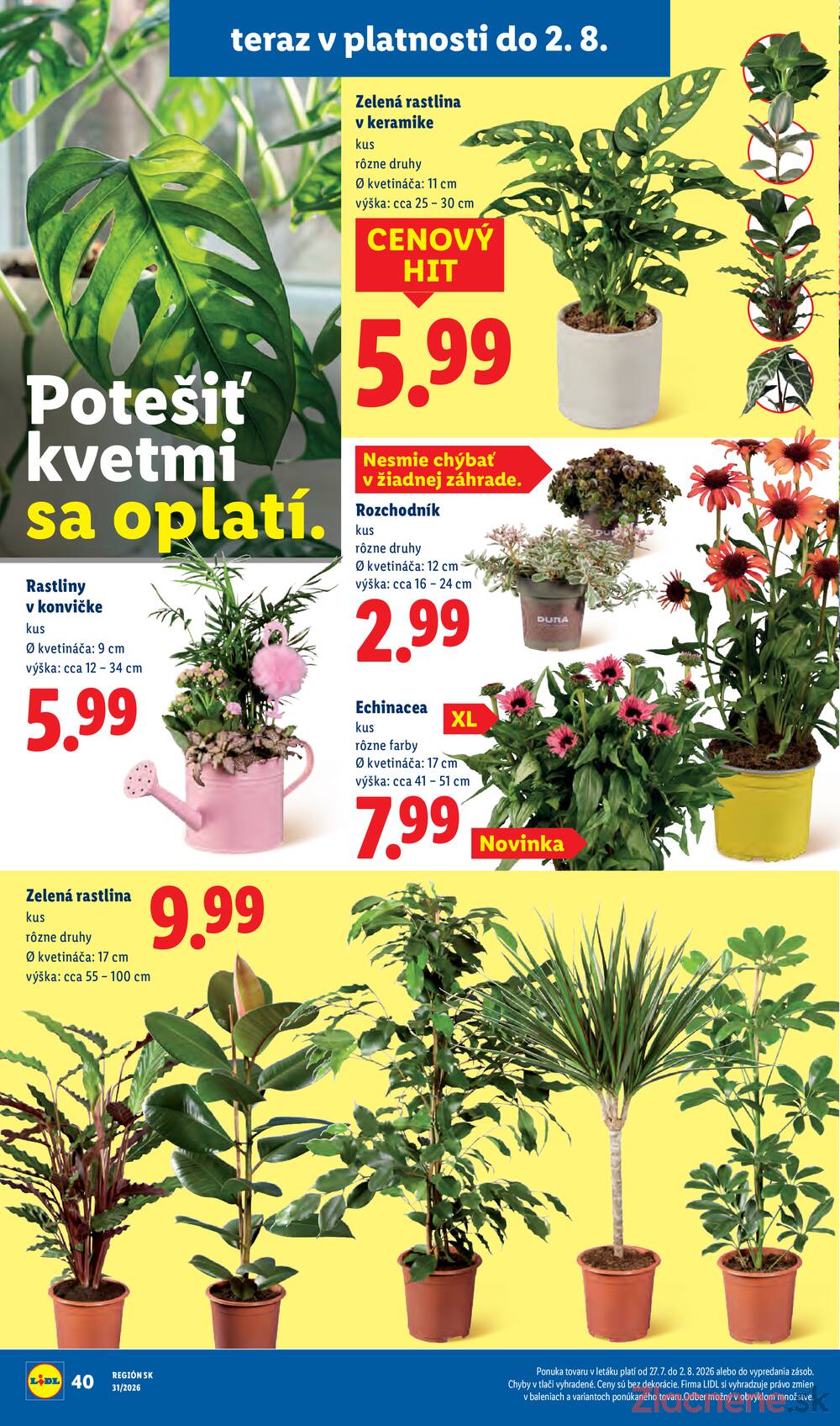 Lidl Štvrtek do 2.8.